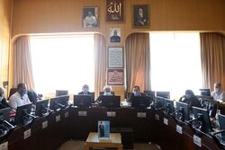 انتخاب نمایندگان کمیسیون فرهنگی برای عضویت در کمیسیون تلفیق بودجه ۱۴۰۳