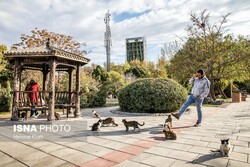 ابلاغ دستورالعمل جدید ایمنی برای پارک‌ها و فضاهای سبز شهر تهران