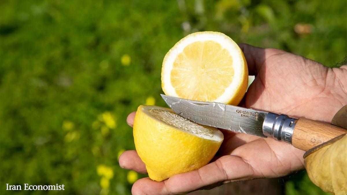 رازی برای بهبود خواب و سلامت بدن