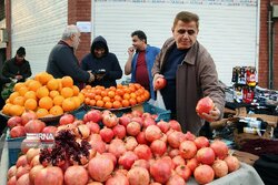 ثبات قیمت میوه و سبزی در هفته میانی آذر ماه