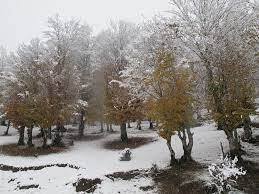 بارش برف پائیزی