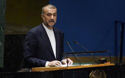 امیرعبداللهیان: خشونت، کالای تحمیل شده بر منطقه به واسطه اشغال و خود برتر پنداری صهیونیسم است