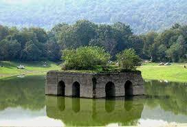 جان تنها باغ جهانی مازندران در خطر است جان تنها باغ جهانی مازندران در خطر است