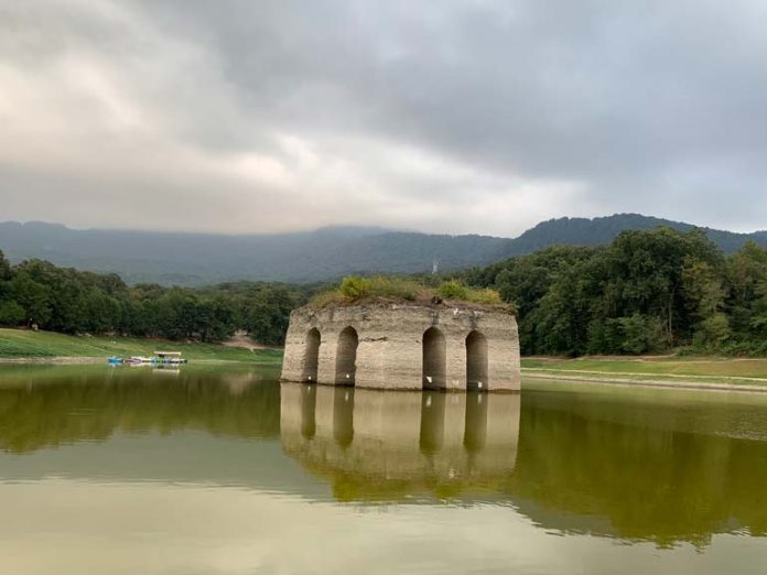 جان تنها باغ جهانی مازندران در خطر است جان تنها باغ جهانی مازندران در خطر است