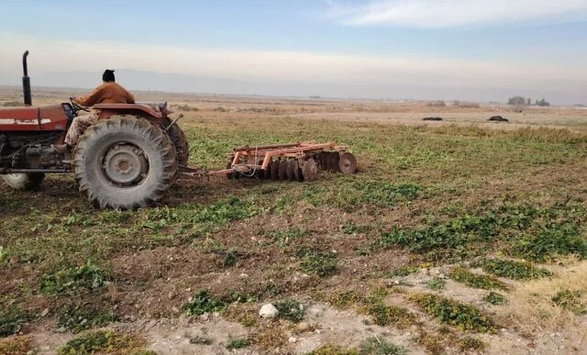 ایجاد هنرستان‌های جوار مزرعه در مناطق آزاد