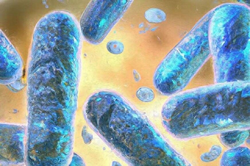 افزایش انتقال باکتری‌های مقاوم به دارو از جوامع انسانی به طبیعت
