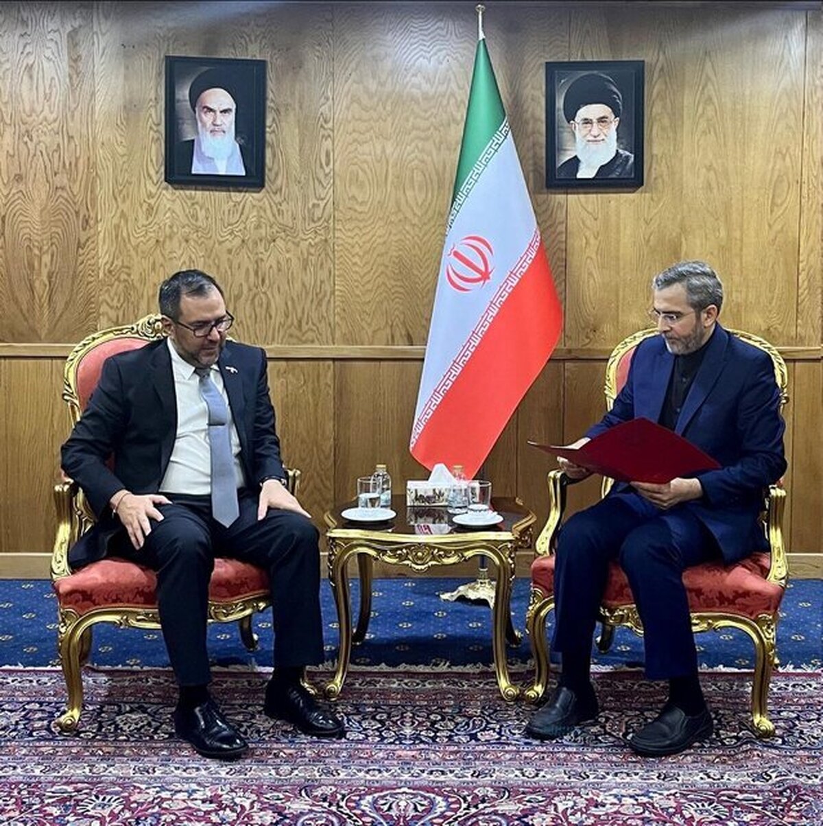 باقری: ونزوئلا و ایران، دوستان روزهای دشوار هستند