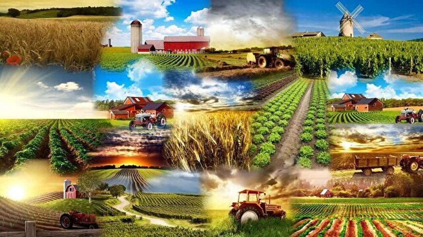 افزایش خرید تضمینی گندم، افزایش صادرات محصولات کشاورزی، جهش تولید در...