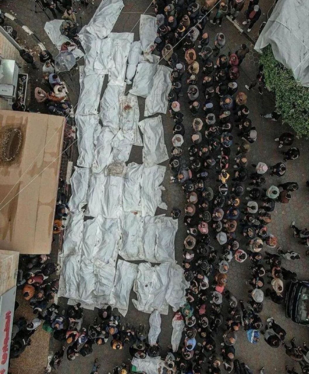 روایت یک تصویر تراژیک در رفح