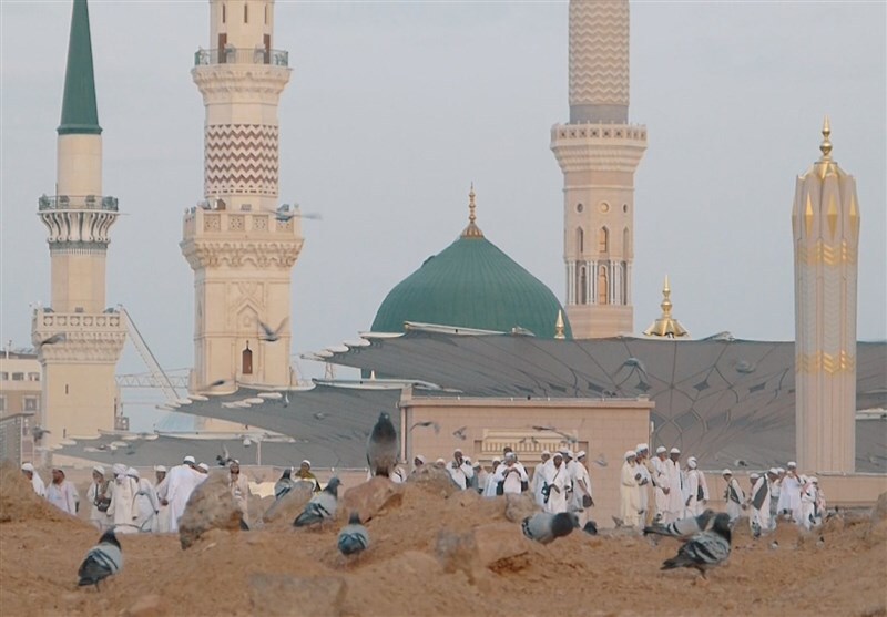 دانلودعکس/ حال و هوای مسجدالنبی در ایام حج