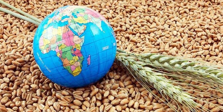 تامین امنیت غذایی کشور با استفاده از منابع مالیاتی در دولت سیزدهم تامین امنیت غذایی کشور با استفاده از منابع مالیاتی در دولت سیزدهم