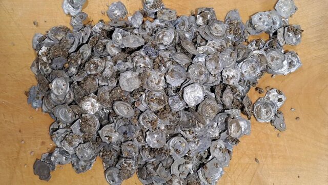 کشف اتفاقی گنجینه سکه در آلمان کشف اتفاقی گنجینه سکه در آلمان