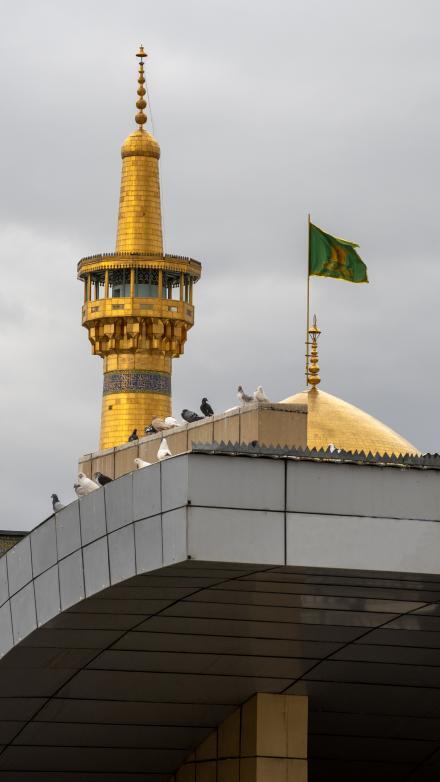 حال‌وهوای حرم رضوی در آستانه شهادت امام رضا(ع)