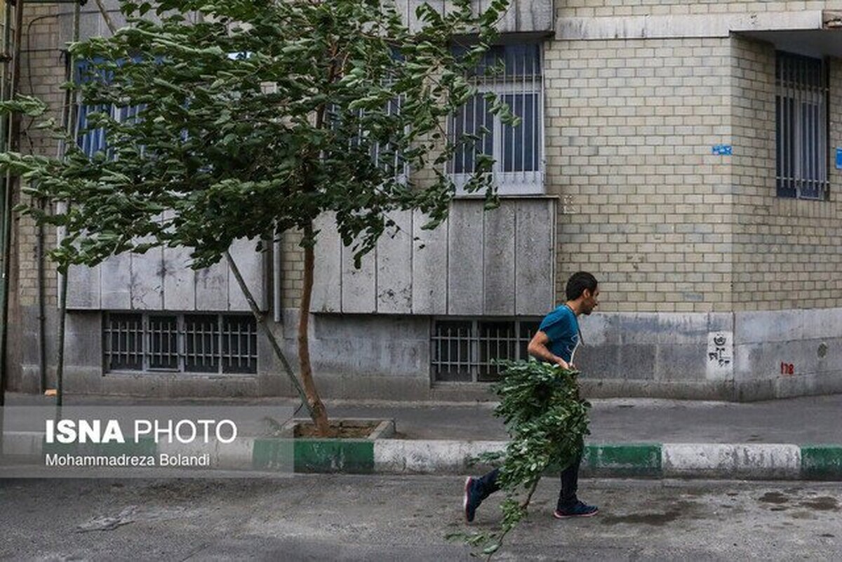 وزش باد نسبتا شدید در تهران