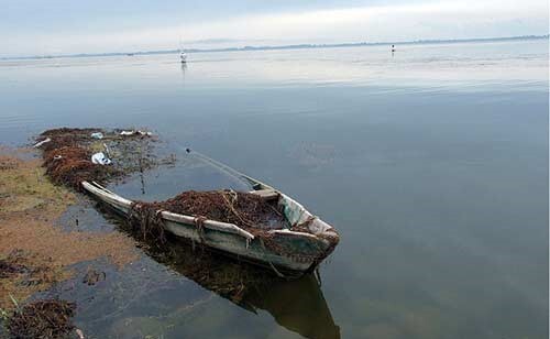 نانو کلر برای رفع آلایندگی تالاب انزلی نانو کلر برای رفع آلایندگی تالاب انزلی