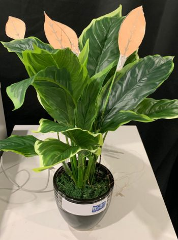 هوای تمیز خانه با گیاه مصنوعی هوای تمیز خانه با گیاه مصنوعی