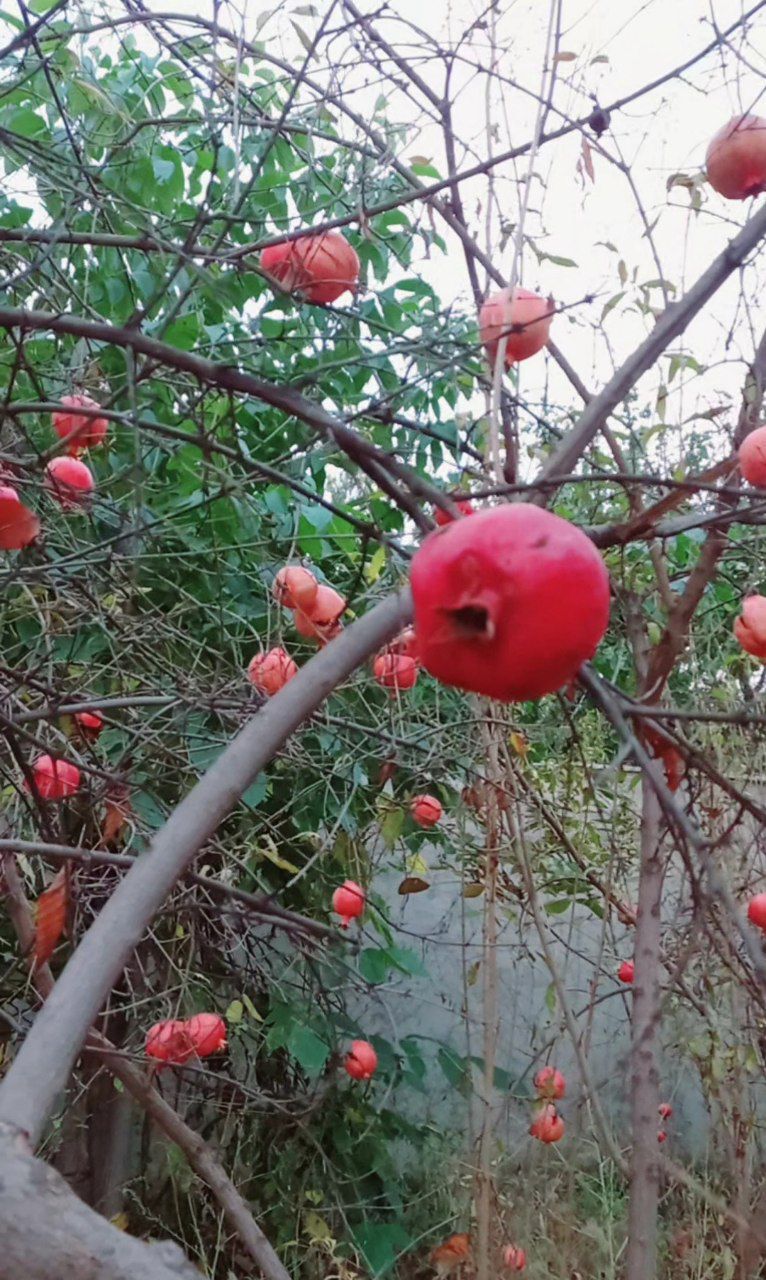 دانلود فیلم/ مقصدی دل انگیز در نزدیکی پایتخت دانلود فیلم/ مقصدی دل انگیز در نزدیکی پایتخت