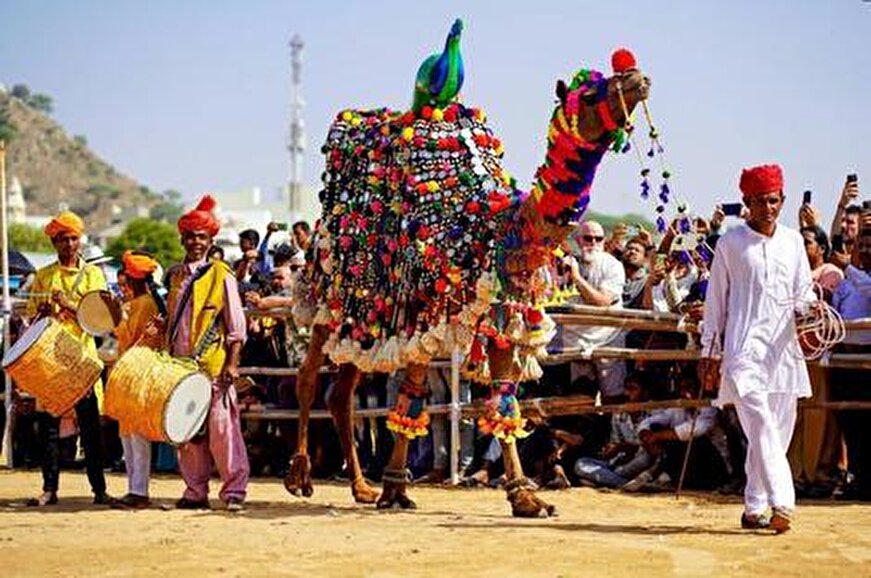 جشنواره شتر در هند تا سالمرگ آتاترک