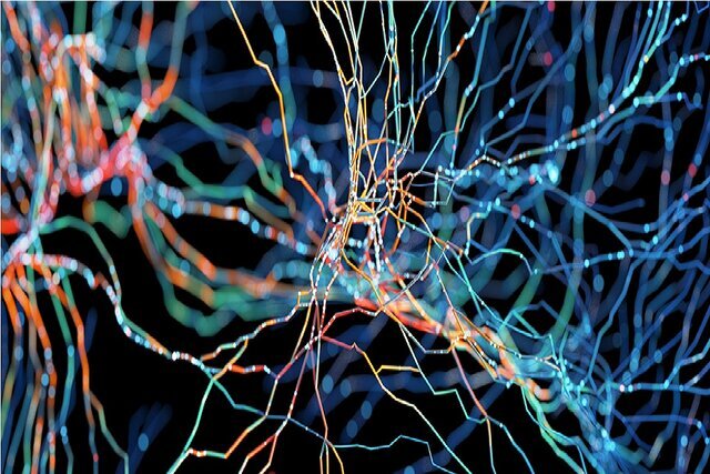 کشف تفاوت ساختار مغزی افراد اوتیسم کشف تفاوت ساختار مغزی افراد اوتیسم