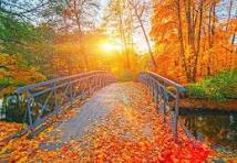 چند عکس کارت پستالی از تهران