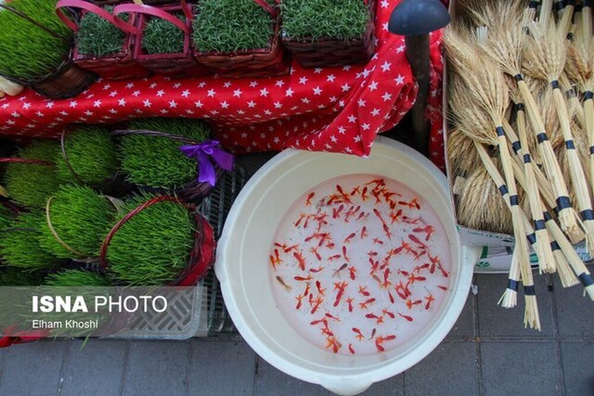 نوروز در دنیای کارتونی