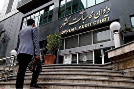 نظارت دیوان محاسبات کشور بر پرداخت تعهدات بیمه‌ای دولت به صندوق‌های بازنشستگی