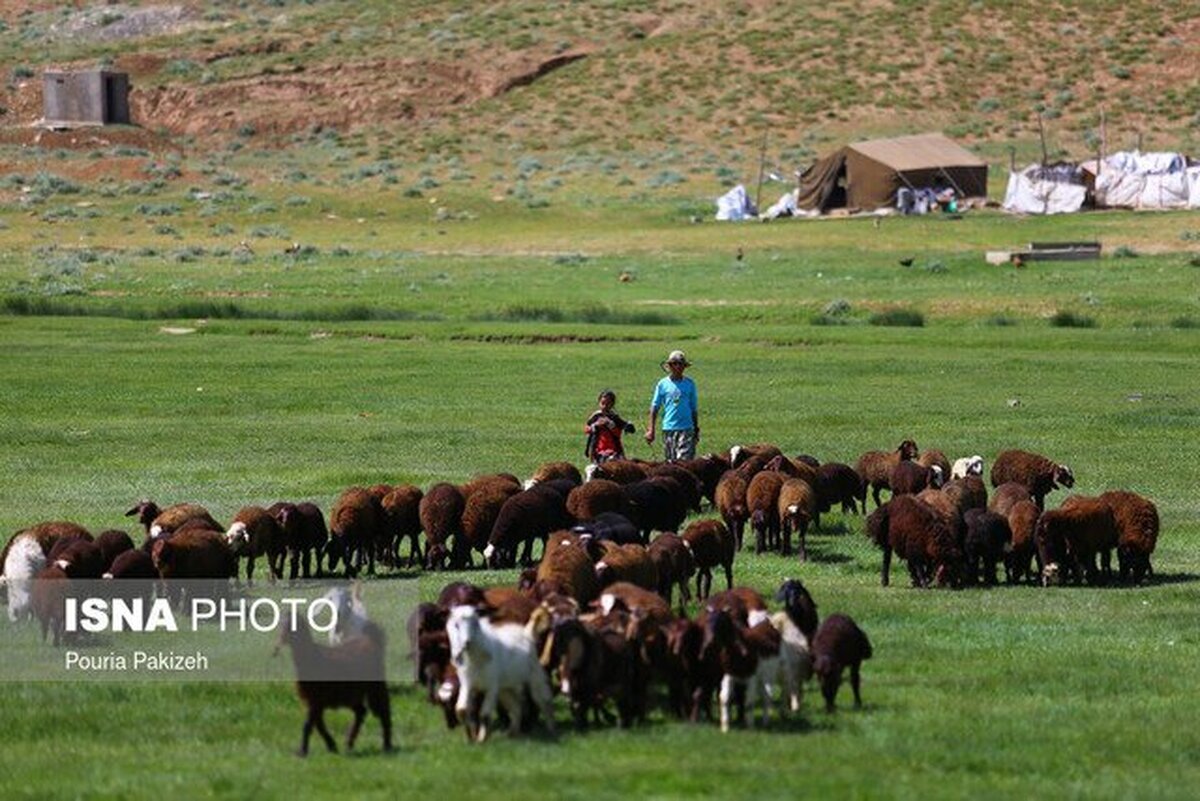 تأمین امنیت و بازگشایی مسیرهای کوچ