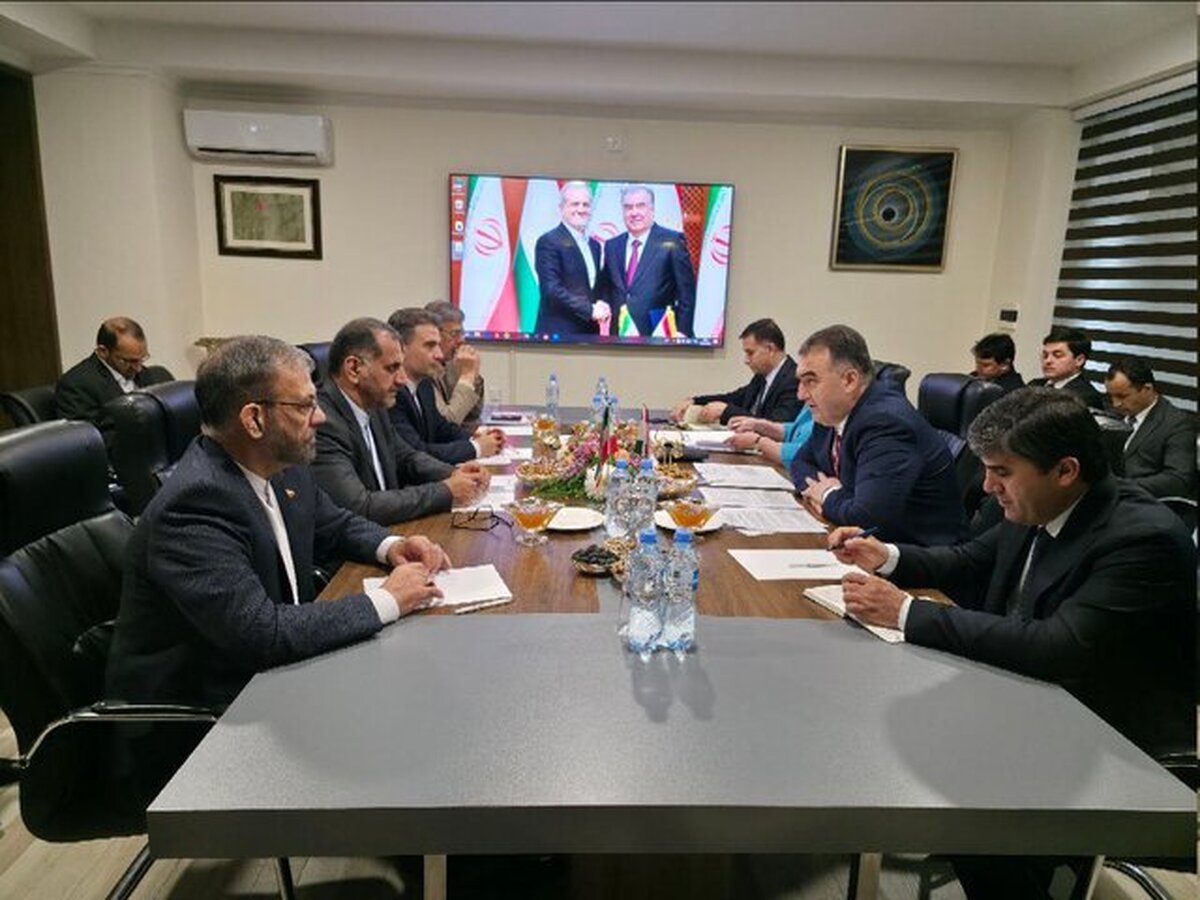 دیدار معاون عارف با یک وزیر تاجیکستانی