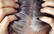 یک پژوهش ژاپنی، سفید شدن موها خبر خوبی برای سلامت