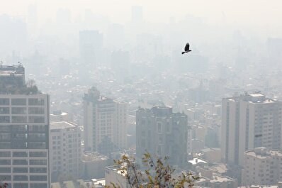 هشدار/ هوا دیگر دونفره نیست، خطرناک است