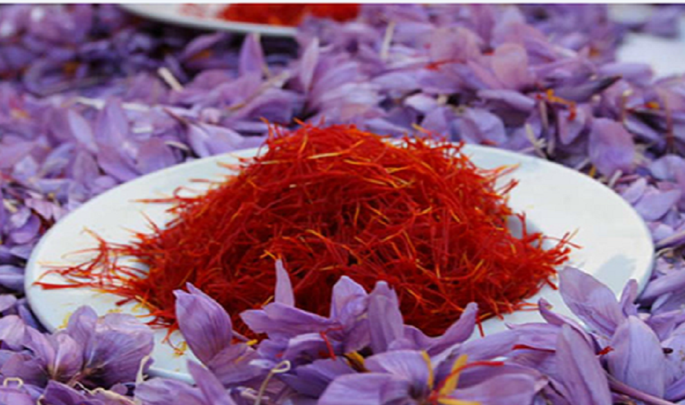 قاچاق طلای سرخ، از آن سوی مرزها قاچاق طلای سرخ، از آن سوی مرزها