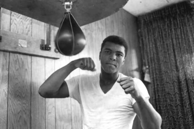 تولد بهترین بوکسور قرن بیستم امروز