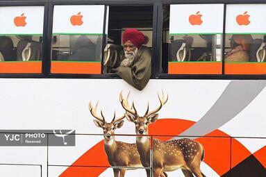 از بابانوئل در قطار تا بالابر مرغداری وقتی منتخب می‌شوند