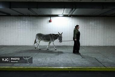 از بابانوئل در قطار تا بالابر مرغداری وقتی منتخب می‌شوند