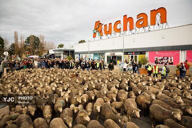 از بابانوئل در قطار تا بالابر مرغداری وقتی منتخب می‌شوند