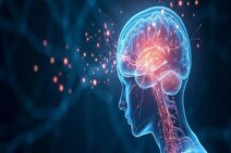 کشف تازه دانشگاه شیکاگو؛ چرا لحظات احساسی ماندگارترند