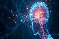 کشف تازه دانشگاه شیکاگو؛ چرا لحظات احساسی ماندگارترند