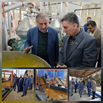 فرماندار رودسر: کنسانتره پرتقال ارزآوری دارد