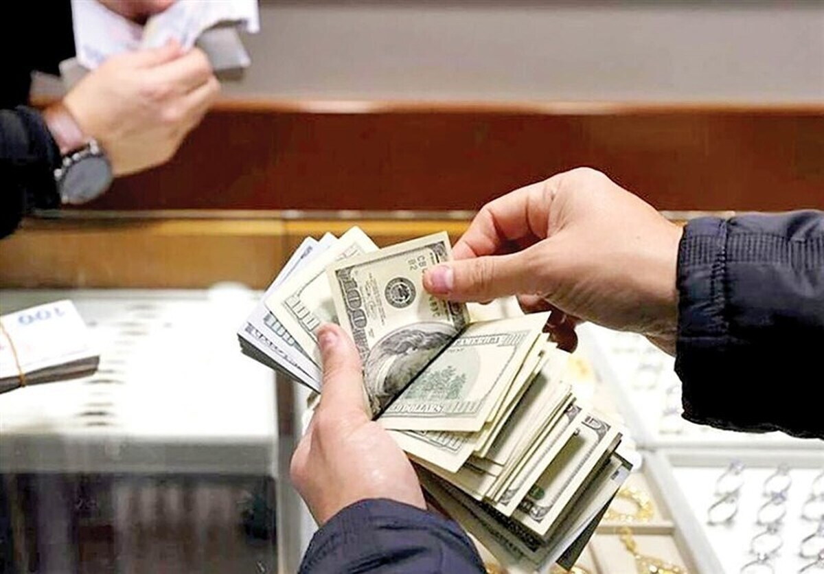 دولت بازار ارز و سکه را را رها کرده؟ دولت بازار ارز و سکه را را رها کرده؟