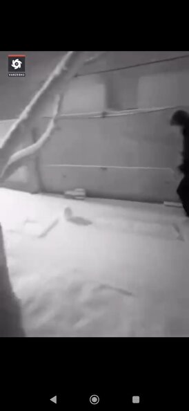 بیرانوند کارگردان می‌شود