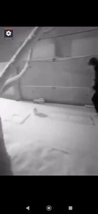 بیرانوند کارگردان می‌شود