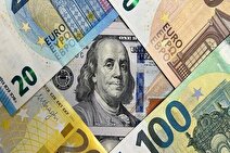 نوسانات ارزی ریشه در مشکلات ساختاری اقتصاد دارد یا ندارد