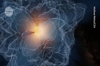 تصاویر برتر علمی به انتخاب مجله نیچر