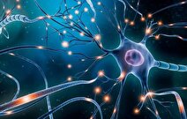 یادگیری یک‌ زبان خارجی فقط در چند ثانیه