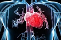 هر ورزشی برای هر قلبی مجاز نیست