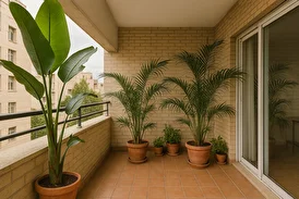تراس و بالکن؛ بهشت گمشده گیاهان آپارتمانی
