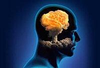 میدان اصلی جنگ، ذهن و باور انسان است