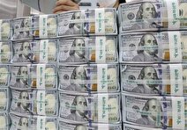 دلار رسمی چند؟