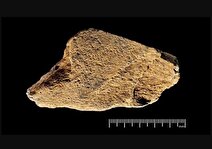 کشف ابزاری از ۵۰۰هزار سال پیش!