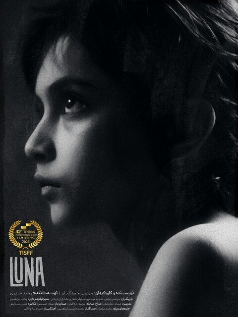 داستان‌ ۱۳ فیلم کوتاه فجر